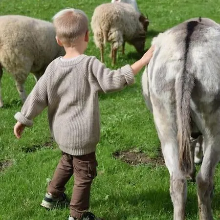 Heerlijk Huys, Vakantievilla Met Prive Tuin